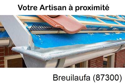 Toiture neuve en zinc Breuilaufa-87300