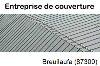 Couvreur pro 87 Breuilaufa-87300