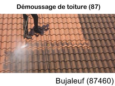 Toiture démoussage Bujaleuf-87460