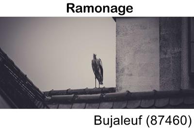 Votre couvreur pour un ramonage Bujaleuf-87460