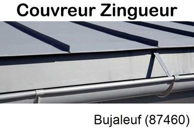 Photo toiture zinc Bujaleuf-87460