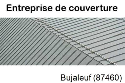 Couvreur pro 87 Bujaleuf-87460