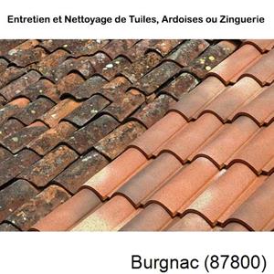 Nettoyage toiture à Burgnac-87800