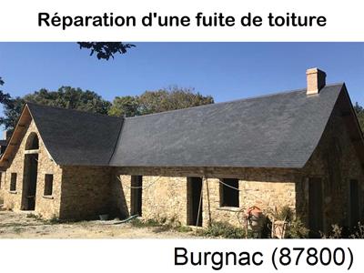 Artisan couvreur à la recherche d'une fuite Burgnac-87800