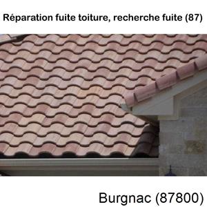 Votre couvreur pour la réparation des toits Burgnac-87800