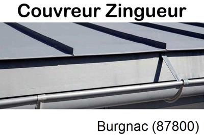 Photo toiture zinc Burgnac-87800