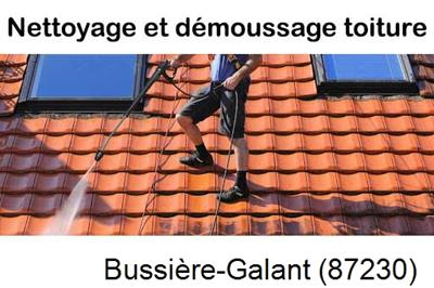 Artisan couvreur propose anti-mousse à Bussière-Galant-87230