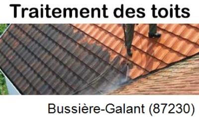 Démoussage sur toiture ardoise et tuile Bussière-Galant-87230