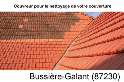 Entreprise de couverture à Bussière-Galant-87230