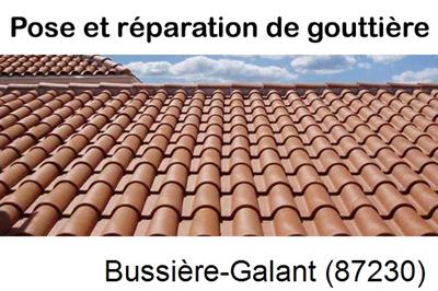 entreprise de gouttière à https://www.google.fr/maps/place/87230+Bussi%C3%A8re-Galant/@45.7938468,1.4872331,11z/data=!4m5!3m4!1s0x47fed865ae05bc89:0x405d39260e798d0!8m2!3d45.627076!4d1.036591