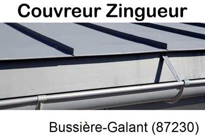 Photo toiture zinc Bussière-Galant-87230