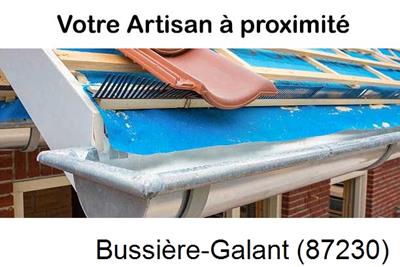 Toiture neuve en zinc Bussière-Galant-87230