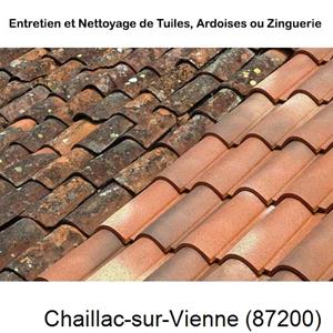 Nettoyage toiture à Chaillac-sur-Vienne-87200