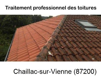 Couvreur pro 87 sur Chaillac-sur-Vienne-87200