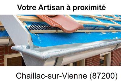 Toiture neuve en zinc Chaillac-sur-Vienne-87200