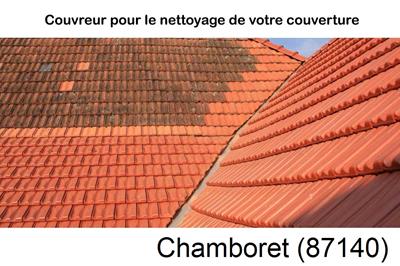 Artisan couvreur propose anti-mousse à Chamboret-87140