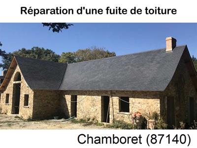 Artisan couvreur à la recherche d'une fuite Chamboret-87140