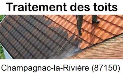 Démoussage sur toiture ardoise et tuile Champagnac-la-Rivière-87150