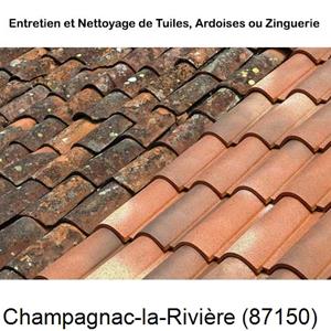 Nettoyage toiture à Champagnac-la-Rivière-87150