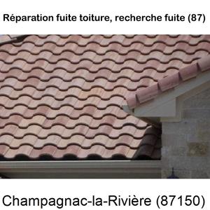 Votre couvreur pour la réparation des toits Champagnac-la-Rivière-87150