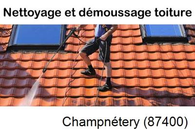 Artisan couvreur propose anti-mousse à Champnétery-87400