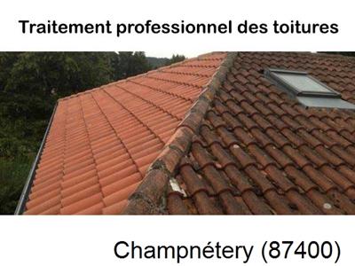 Couvreur pro 87 sur Champnétery-87400