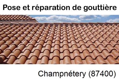 entreprise de gouttière à Champnétery-87400