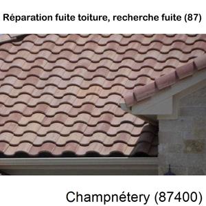 Votre couvreur pour la réparation des toits Champnétery-87400