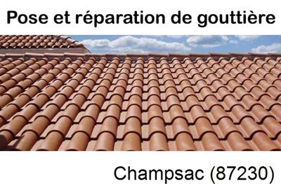 entreprise de gouttière à Champsac-87230