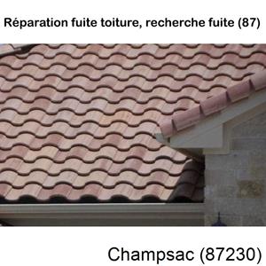 Votre couvreur pour la réparation des toits Champsac-87230