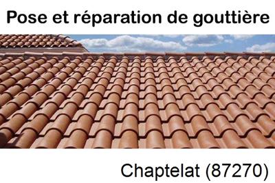 entreprise de gouttière à Chaptelat-87270