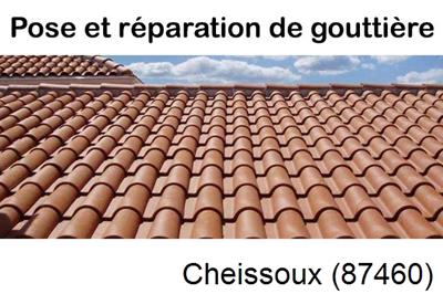 gouttière aluminium en continu à Cheissoux-87460