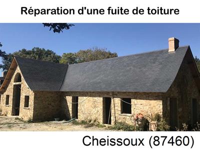 Artisan couvreur à la recherche d'une fuite Cheissoux-87460