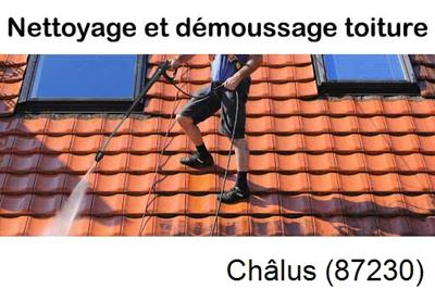 Artisan couvreur propose anti-mousse à Châlus-87230