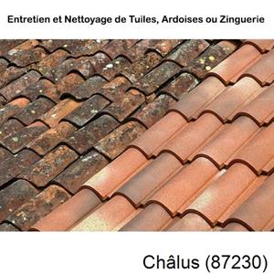 Nettoyage toiture à Châlus-87230