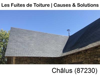 Travaux rénovation toiture à Châlus-87230