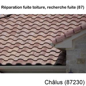 Votre couvreur pour la réparation des toits Châlus-87230