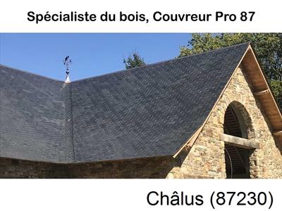 Photo d'une charpente Châlus-87230