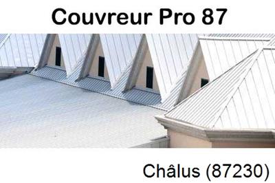 Entreprise de zinguerie à Châlus-87230