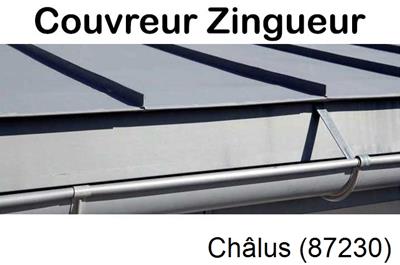 Photo toiture zinc Châlus-87230