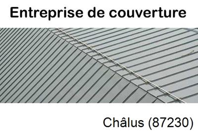 Couvreur pro 87 Châlus-87230