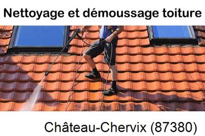 Artisan couvreur propose anti-mousse à Château-Chervix-87380