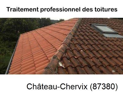 Couvreur pro 87 sur Château-Chervix-87380