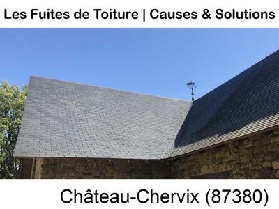 Travaux rénovation toiture à Château-Chervix-87380