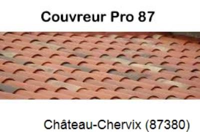 Artisan couvreur à la recherche d'une fuite Château-Chervix-87380