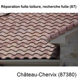 La référence en recherche de fuite toiture à Château-Chervix-87380