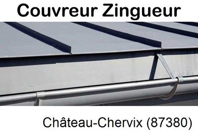 Photo toiture zinc Château-Chervix-87380