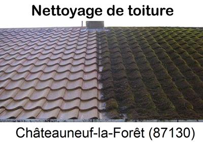 Entreprise de démoussage à Châteauneuf-la-Forêt-87130