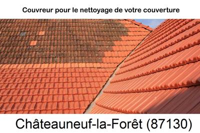 Entreprise de couverture à Châteauneuf-la-Forêt-87130