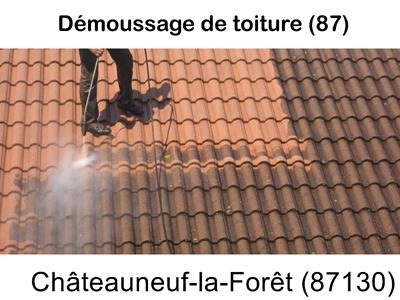 Toiture démoussage Châteauneuf-la-Forêt-87130